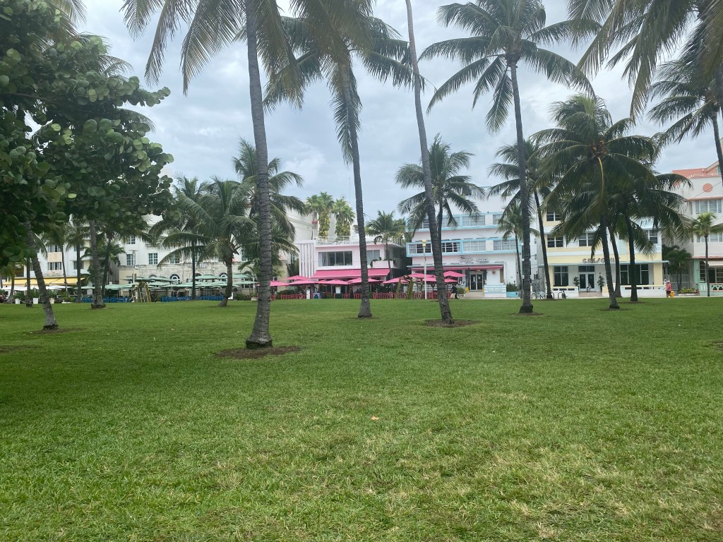 Art, Food, and Adventures in Miami, Florida for the&nbsp;Visitors